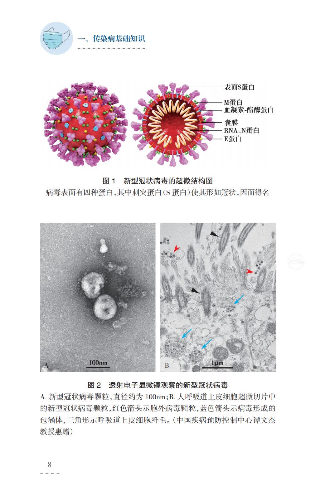 图片包含 文字描述已自动生成